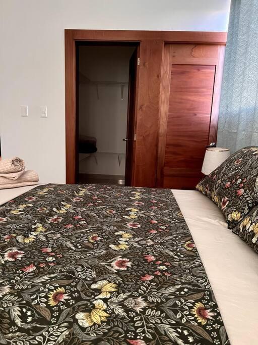 Magnificent Pent House W/Jacuzzi Apartment Santiago De Los Caballeros Luaran gambar