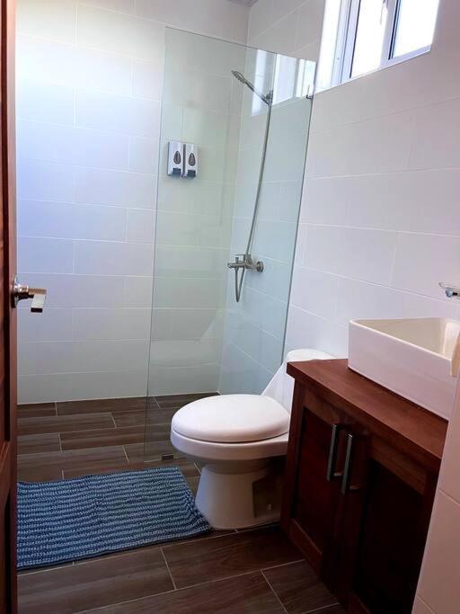 Magnificent Pent House W/Jacuzzi Apartment Santiago De Los Caballeros Luaran gambar